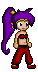 Shantae.png