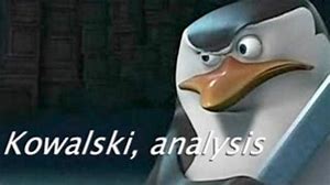 Kowalski, analysis..jpg